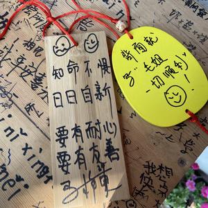 我想这是心的历程(pord.by furyl）