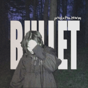 bullet