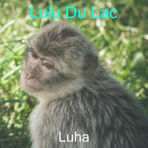 Attack Of The Spiders