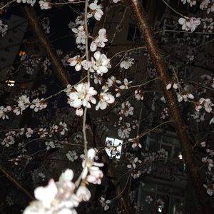 >v<喜欢姐姐 扩列愉快