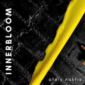 Ateis Naktis (Statėm Namus Mix)