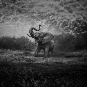 İçinden Geldiğince