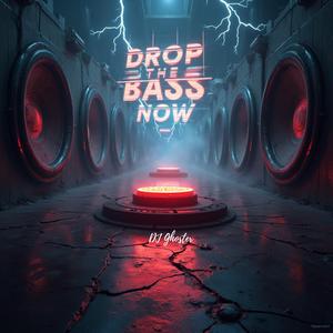 Drop The Bass Now