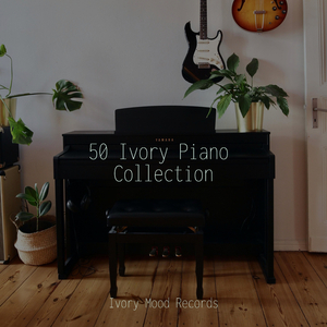 Glowing Sunbeams Drifting By