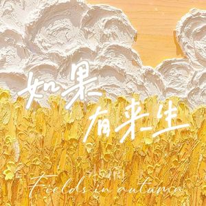 如果有来生（8p治愈版）