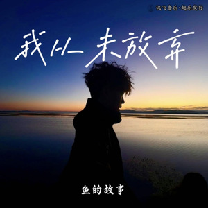 我从未放弃(伴奏)