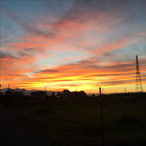 果てしない暴走