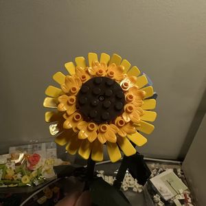 《褪色画布与彩虹》