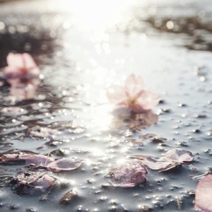 素晴らしい世界