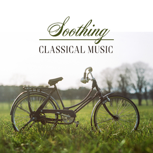 Twelve Pieces of Medium Difficulty, Op. 40: IX. Valse in F-Sharp Minor