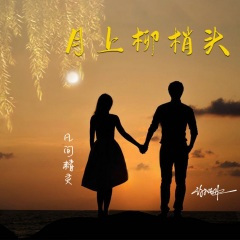 月上柳梢头 (Remix)(DJ默涵版)