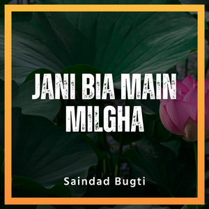 Jani Bia Main Milgha
