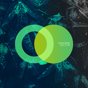 Relying (Original Mix)