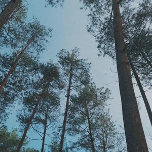 Muted Balcony Stories