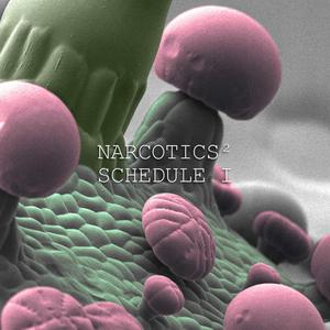 Rikers (feat. Shey2k)