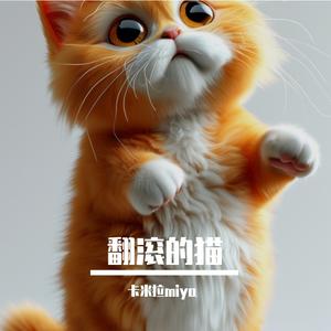 我家的猫会后空翻