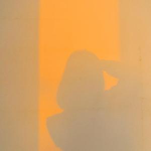 爱存在（翻自 魏奇奇）