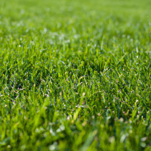 ឧទ្ទិសកុសលជូនព្រលឹងថ្ងៃបុណ្យភ្ជុំបិណ្ឌ