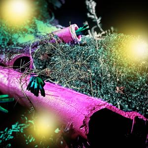 H.A.F. (feat. Tootie P)