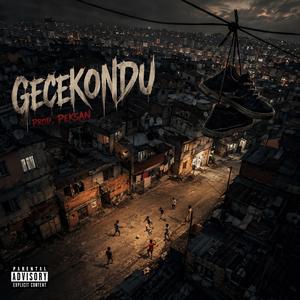 GECEKONDU