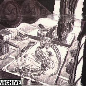 Intergalactic Colonization