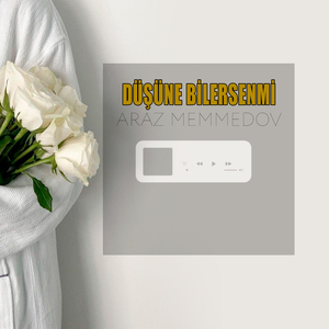 Düşüne Bilersenmi