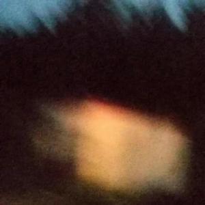 一首可以追女朋友的歌曲