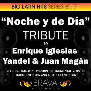 Noche y de Dia (In the Style of Enrique Iglesias, Yandel & Juan Magan) [Tribute Version]