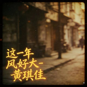 这一年风好大 (烟嗓版)