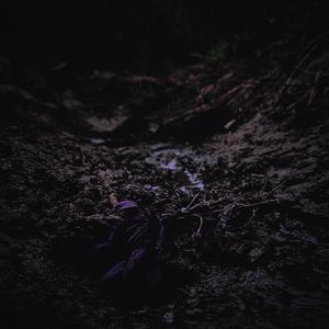 Feeling Lonely (feat. Fallen Oceans)