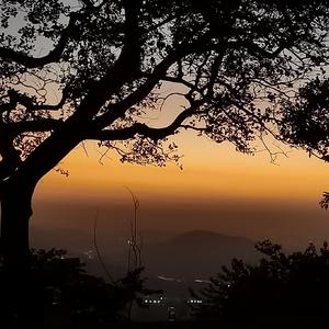 阿娜尔罕(Anarhan)