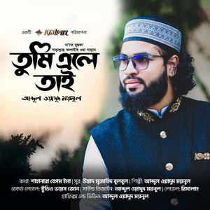 Tumi Ele Tai | তলা’আল বাদরু আলাইনা | Tola'Al Badru Alaina