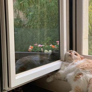 爱存在（翻自 Li-2c）