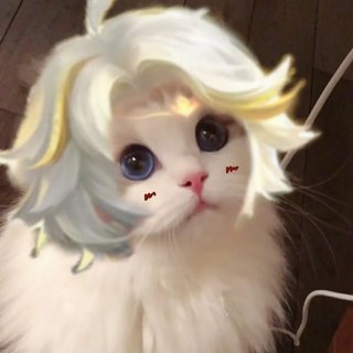 时间长的助眠歌单♡