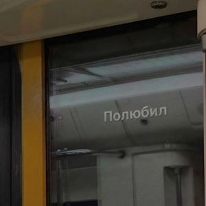 Полюбил