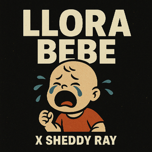 Llora Bebe