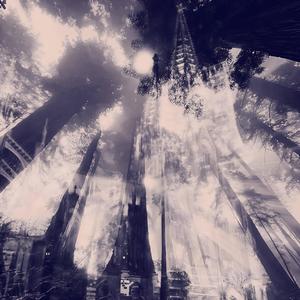 celebrate (feat. baybo & natecxo)