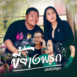 ขี้ยางพรก