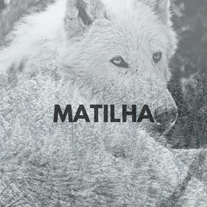 Matilha