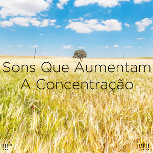 ホワイトノイズスリープ