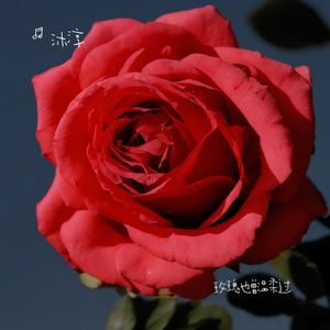 我们后来没有后来