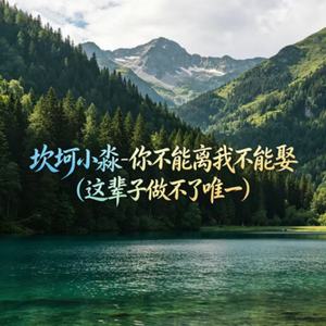 你不能离我不能娶（这辈子做不了唯一）