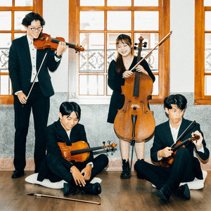 Franz Schubert: String Quartet No.13, D. 804 "Rosamunde" - II. Andante