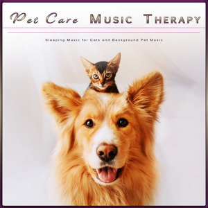 Music For Cats