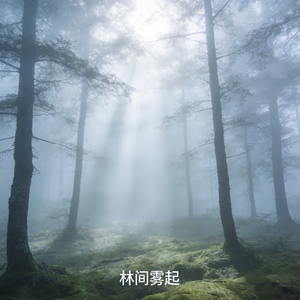 治愈轻音：远离喧闹 归于平静