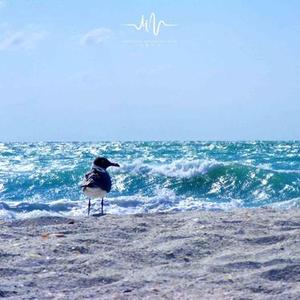 云雾之间 (钢琴版)