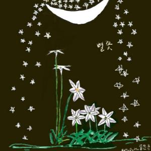 별꽃 (Star flower)