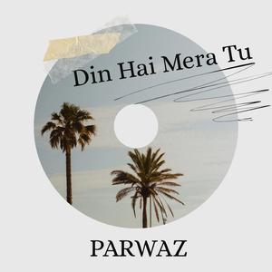 Din Hai Mera Tu