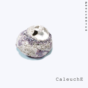Caleuche