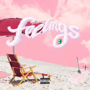Feelings